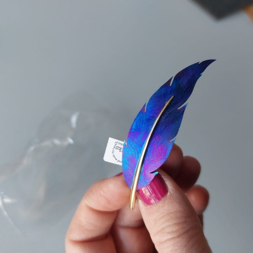 Tytanowe piórko broszka