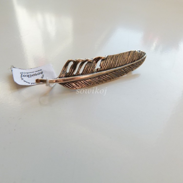 Zapinka brosza piórko