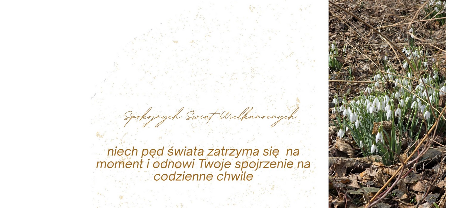 Życzenia wielkanocne z przebiśniegami w tle